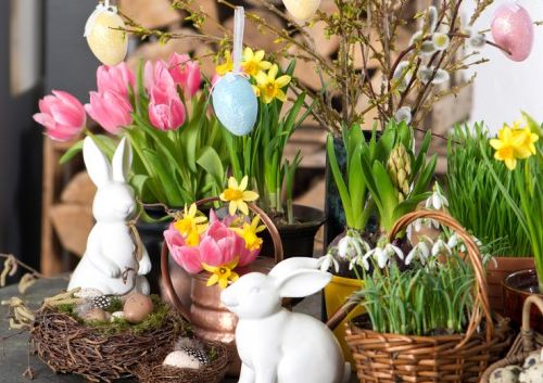 Image: Il Brunch di Pasqua